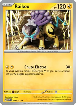 Carte Raikou 048/132 – Méga-Évolution
