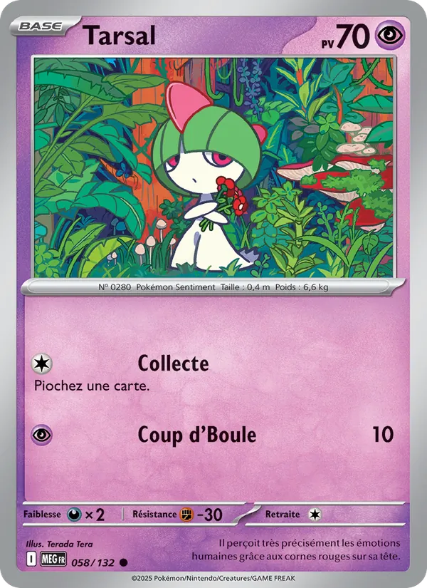 Carte Tarsal 058/132 – Méga-Évolution