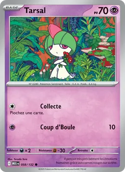 Carte Tarsal 058/132 – Méga-Évolution