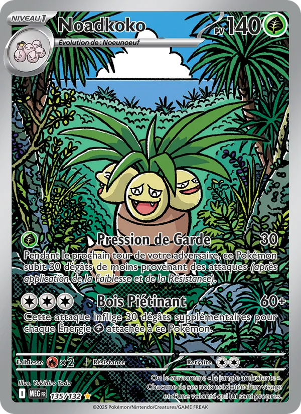 Carte Noadkoko 135/132 – Méga-Évolution