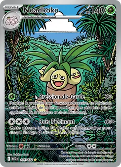Carte Noadkoko 135/132 – Méga-Évolution