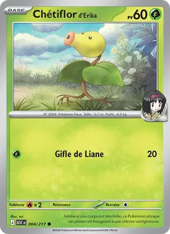 Carte Chétiflor d'Erika 004/217 – Héros Transcendants