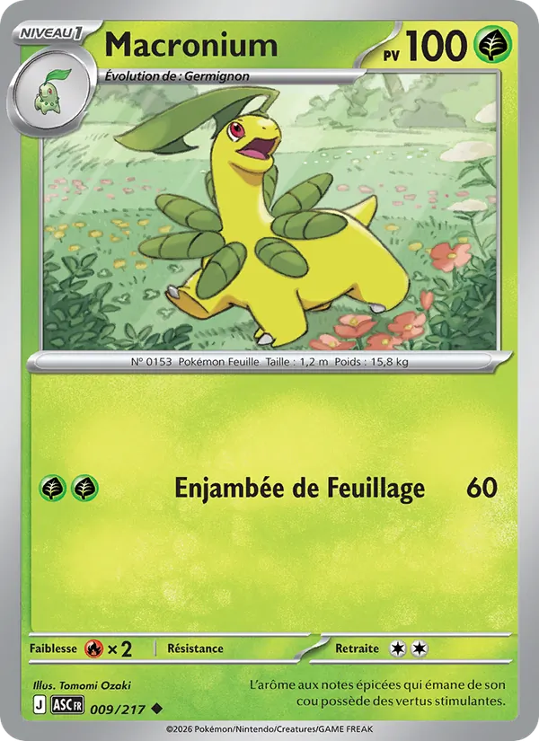 Carte Macronium 009/217 – Héros Transcendants