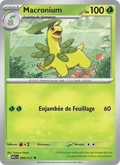 Carte Macronium 009/217 – Héros Transcendants