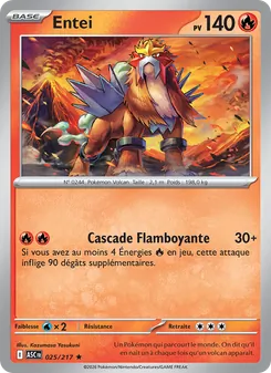 Carte Entei 025/217 – Héros Transcendants