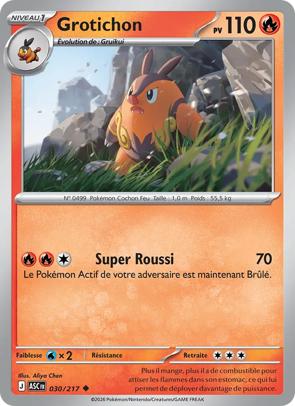 Carte Grotichon 030/217 – Héros Transcendants