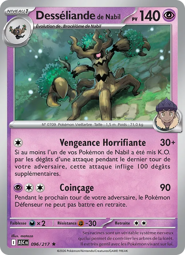 Carte Desséliande de Nabil 096/217 – Héros Transcendants