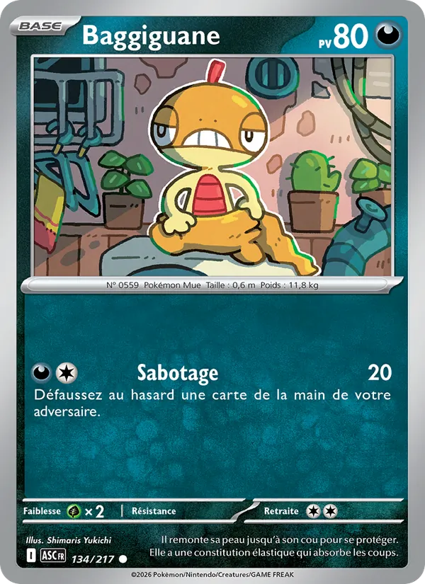 Carte Baggiguane 134/217 – Héros Transcendants