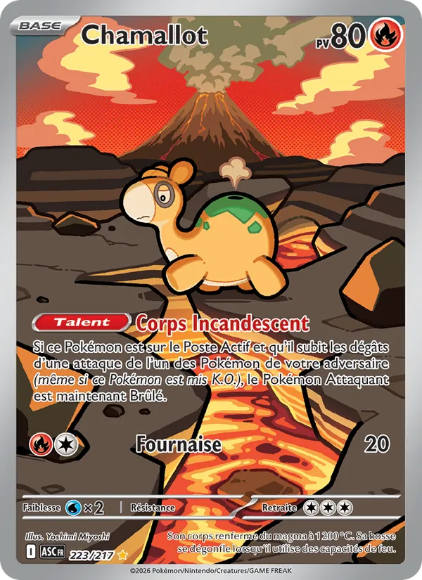Carte Chamallot 223/217 – Héros Transcendants