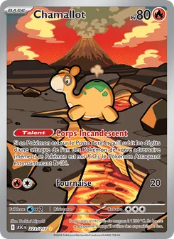 Carte Chamallot 223/217 – Héros Transcendants