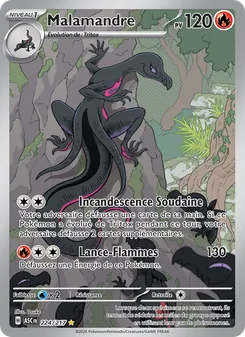 Carte Malamandre 224/217 – Héros Transcendants