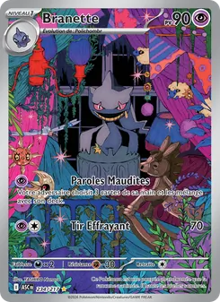 Carte Branette 234/217 – Héros Transcendants