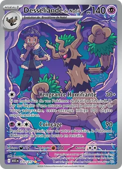 Carte Desséliande de Nabil 237/217 – Héros Transcendants