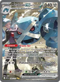 Carte Métalosse-ex de Pierre 289/217 – Héros Transcendants