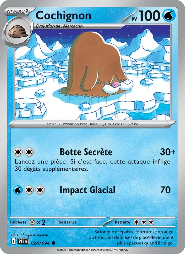 Carte Cochignon 024/094 – Flammes Fantasmagoriques
