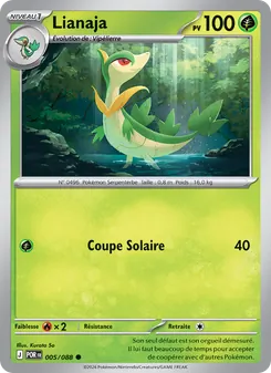 Carte Lianaja 005/088 – Équilibre Parfait