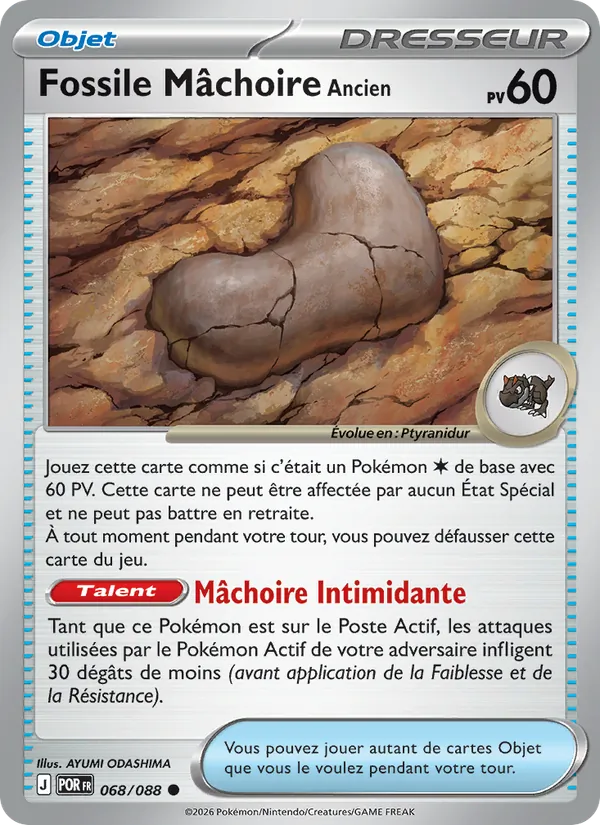 Carte Fossile Mâchoire Ancien 068/088 – Équilibre Parfait