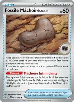 Carte Fossile Mâchoire Ancien 068/088 – Équilibre Parfait