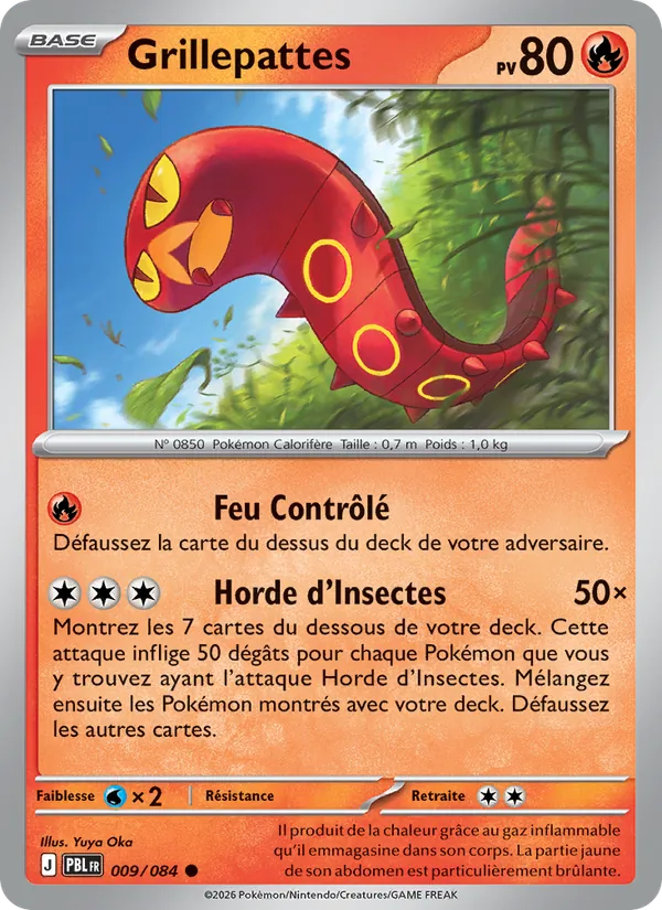 Carte Grillepattes 009/084 – Nuit Noire