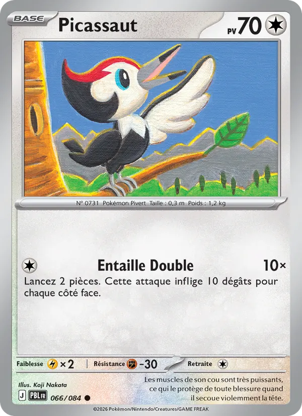 Carte Picassaut 066/084 – Nuit Noire