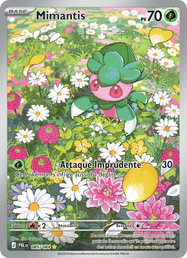 Carte Mimantis 085/084 – Nuit Noire