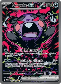 Carte Morpeko-ex 117/084 – Nuit Noire