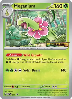 Carte Méganium 001 – MEP Black Star Promos