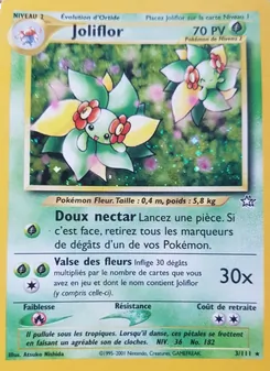 Carte Joliflor 3/111 – Neo Genesis