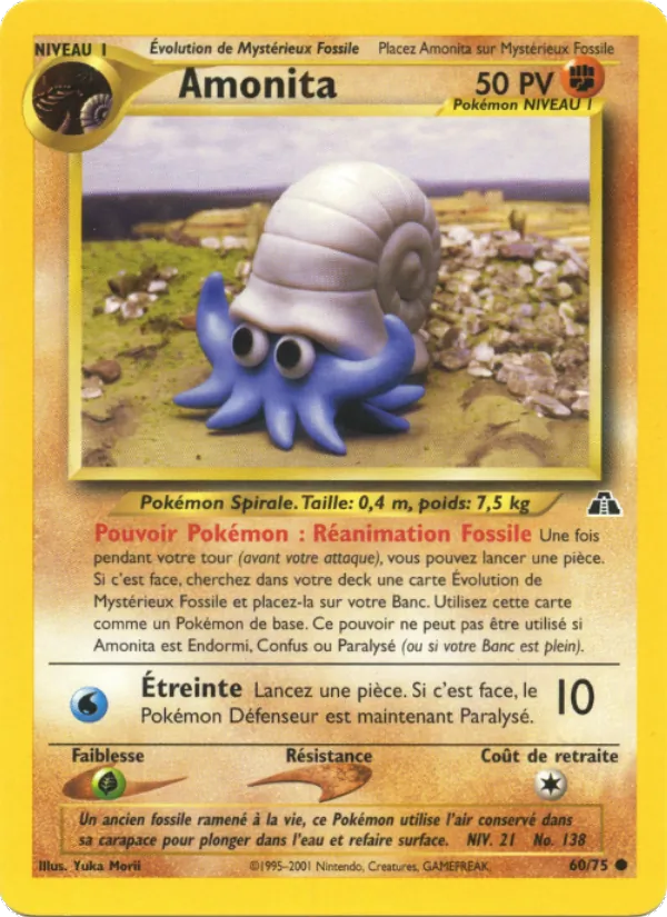 Carte Amonita 60/75 – Neo Discovery