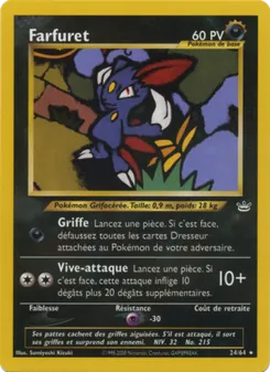 Carte Farfuret 24/64 – Neo Revelation