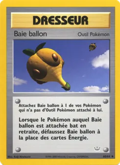 Carte Baie ballon 60/64 – Neo Revelation