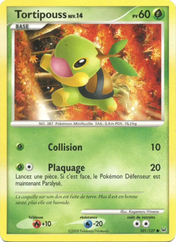 Carte Tortipouss 101/127 – Platine