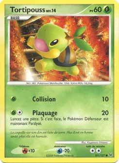 Carte Tortipouss 101/127 – Platine