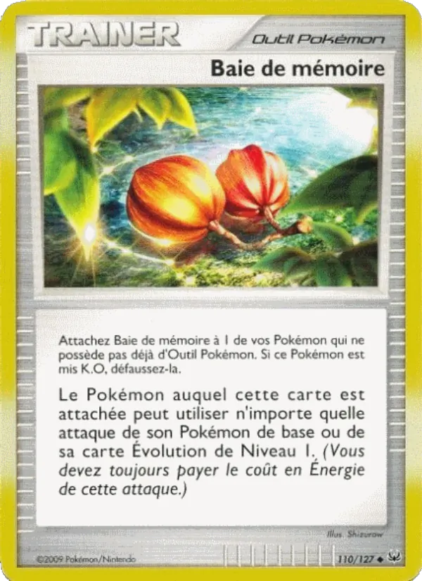 Carte Baie de mémoire 110/127 – Platine