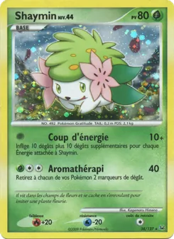 Carte Shaymin 38/127 – Platine
