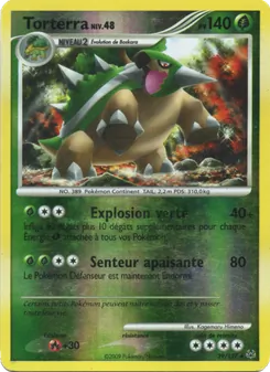 Carte Torterra 39/127 – Platine