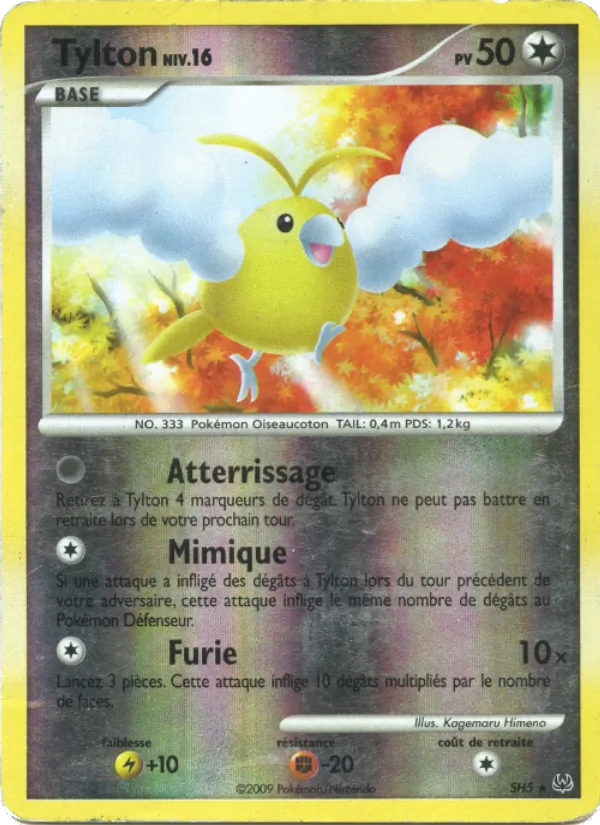 Carte Tylton SH5 – Platine