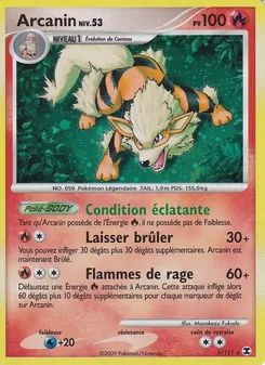 Carte Arcanin Niv. 53 1/111 – Rivaux Émergeants