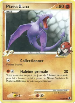 Carte Ptera GL Niv. 62 55/111 – Rivaux Émergeants