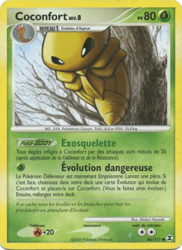 Carte Coconfort Niv. 8 66/111 – Rivaux Émergeants