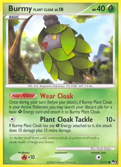 Carte Cheniti Cape Plante 11/17 – POP Série 7