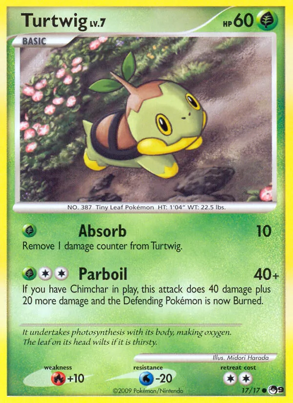 Carte Tortipouss 17/17 – POP Série 9