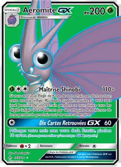 Carte Aéromite GX 193/214 – Alliance Infaillible