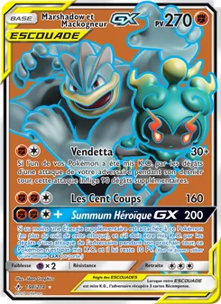 Carte Marshadow et Mackogneur GX 198/214 – Alliance Infaillible