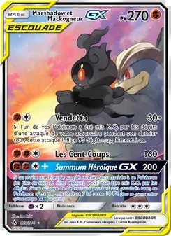 Carte Marshadow et Mackogneur GX 199/214 – Alliance Infaillible