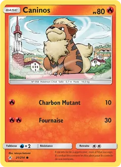 Carte Caninos 21/214 – Alliance Infaillible