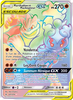 Carte Marshadow et Mackogneur GX 221/214 – Alliance Infaillible