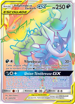 Carte Amphinobi et Zoroark GX 222/214 – Alliance Infaillible
