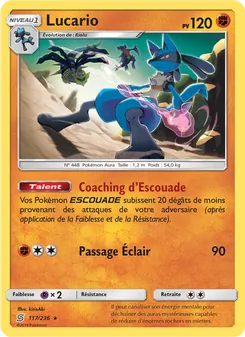 Carte Lucario 117/236 – Harmonie des Esprits