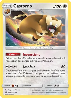Carte Castorno 172/236 – Harmonie des Esprits